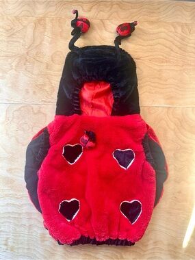 Celebration Creations Ladybug Costume Toddler 2T Red Black Plush Halloween 2007